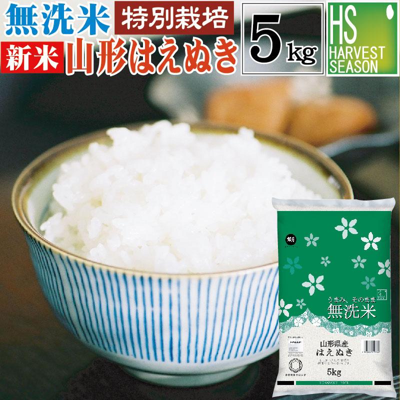 特価 新米 令和5年産 無洗米 5kg はえぬき 山形県産 特別栽培米 お米