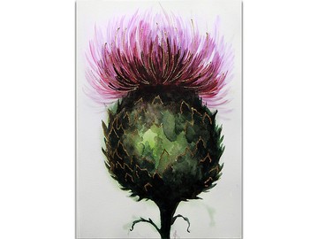 薊繪畫花卉原創藝術金葉花卉水彩手繪