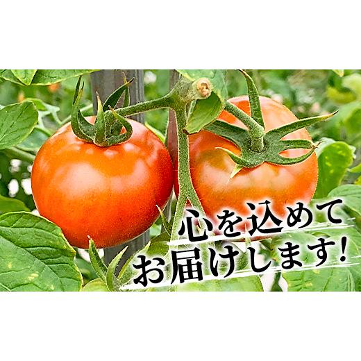 ふるさと納税 高知県 香南市 夜須町産フルーツトマト 2kg箱入り トマト フルーツトマト 野菜 贈り物 箱入り ga-0005