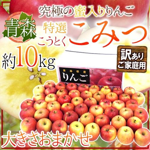 りんご 青森県 蜜だらけりんご ”こみつ” 訳あり 大きさおまかせ 約10kg こうとくりんご 送料無料