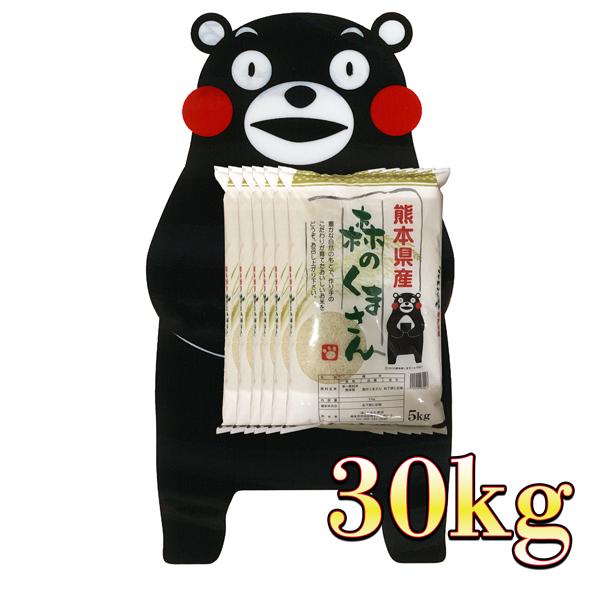 お米 米 30kg 白米 熊本県産 森のくまさん あすつく 新米 令和5年産 5kg6個 くまモン くまもとのお米 富田商店 とみた商店