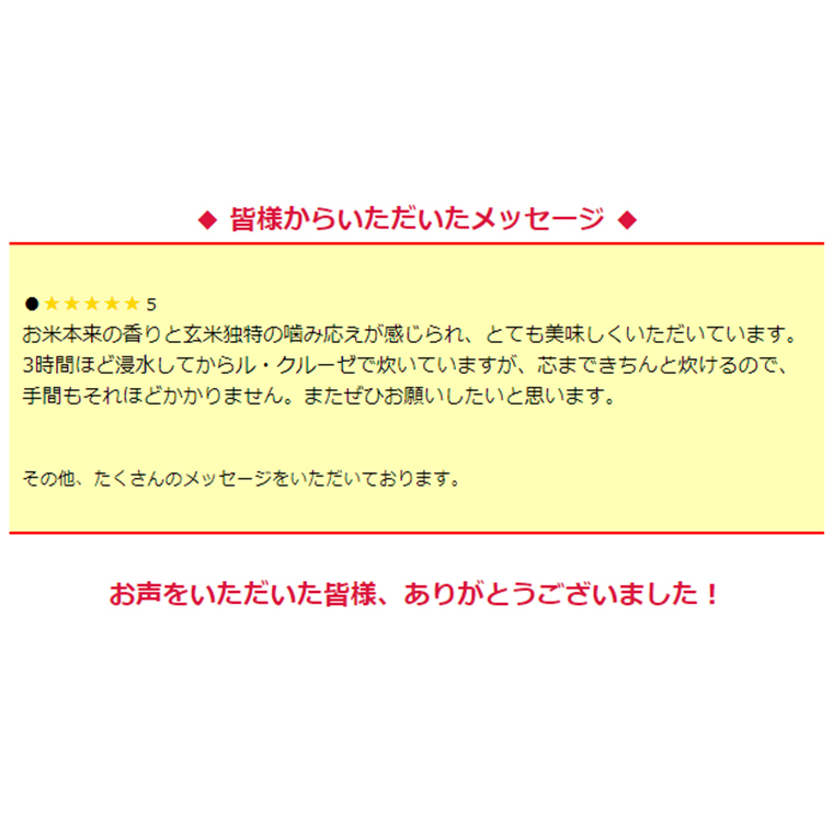 ＜ 定期便 ＞5年産米 玄米 10kg ×6回（ 隔月 ）三百年続く農家の有機特別栽培 コシヒカリ 有機栽培 農創 米 こめ コメ ごはん ご飯 国産 茨城県産 おいしい [AC