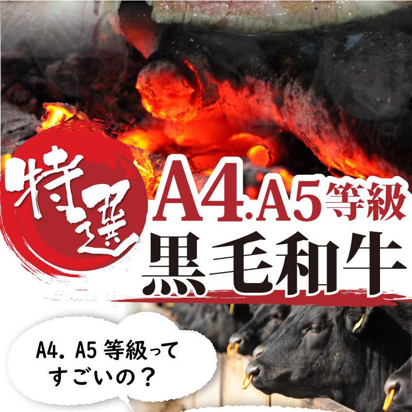 牛肉 肉 黒毛和牛 A4,5等級 とろける カルビ 焼肉 3kg （250g×12） 凍眠 テクニカン お歳暮 ギフト 食品 プレゼント 女性 男性 お祝い グルメ