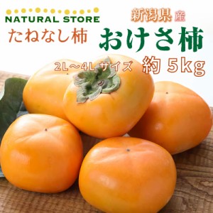 [最短順次発送]   おけさ柿 八珍柿 たねなし柿 2L-4L 約5kg 新潟県産 秋ギフト 平核無 刀根早生 甘柿 化粧箱 柿