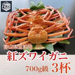 魚卸問屋のベニズワイガニ 700～800g級×3杯 はりたや