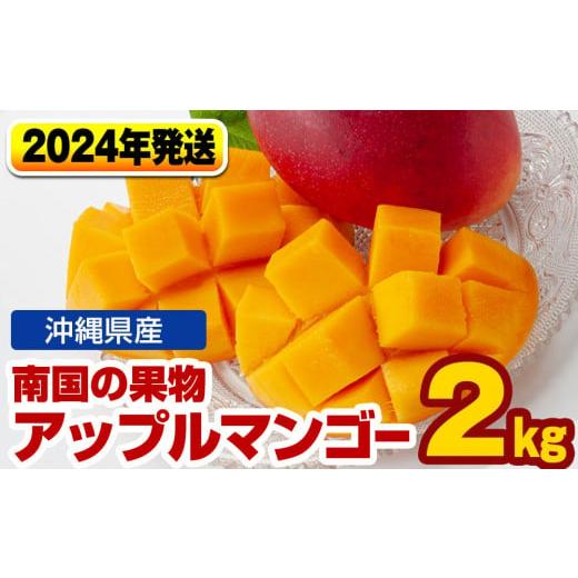 ふるさと納税 沖縄県 南風原町 南国の果物　沖縄県産アップルマンゴー　2kg