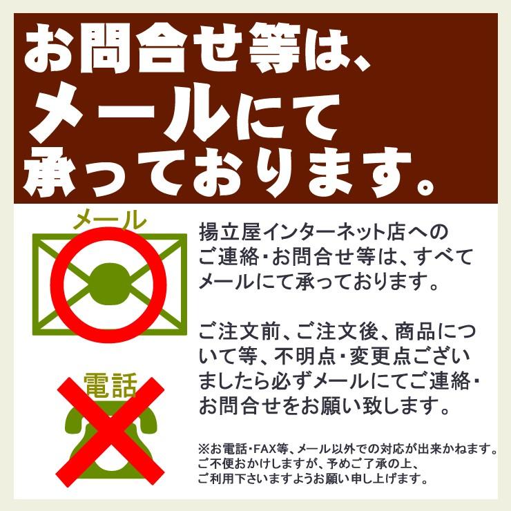 お試し  送料無料 さつま揚げ 揚立屋  ネット限定  鹿児島