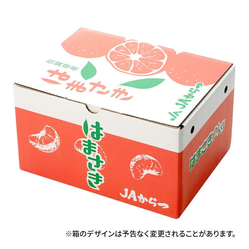  フルーツ  佐賀県産 はまさき 約 2kg (L・Mサイズ 11〜14玉)  JAからつ 果物 柑橘 みかん 青果 麗紅 ギフト 高級 送料無料 CG047