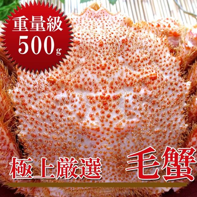 ボイル 毛がに 500g (北海道産特大毛蟹)このケガニ安いですが訳ありではありません(冷凍毛ガニ)蟹味噌三大蟹の1つのけがに