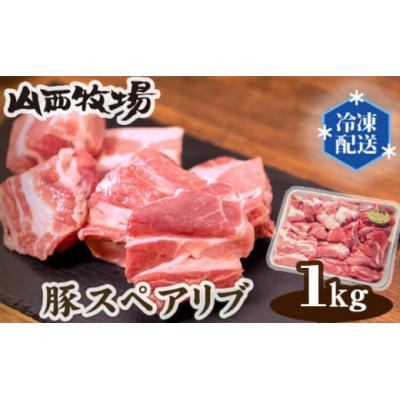 ふるさと納税 坂東市 骨つきカットスペアリブ1kg