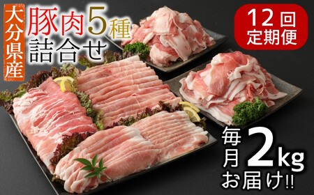 小分けで便利♪大分県産 豚5種詰め合わせ（約2kg×12回）