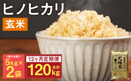 熊本県菊池産 ヒノヒカリ 玄米 計120kg（5kg×2袋×12回）米 お米 残留農薬ゼロ 低温貯蔵