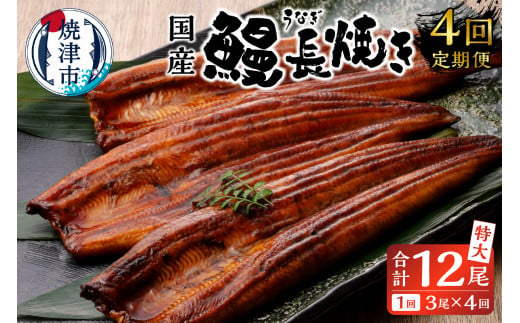 b10-058　 鰻 長焼き