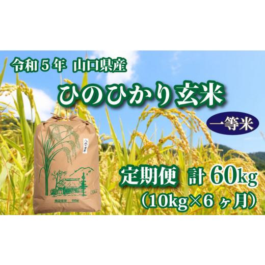 ふるさと納税 山口県 下関市 令和5年 山口県産 ひのひかり 玄米 10kg×6回