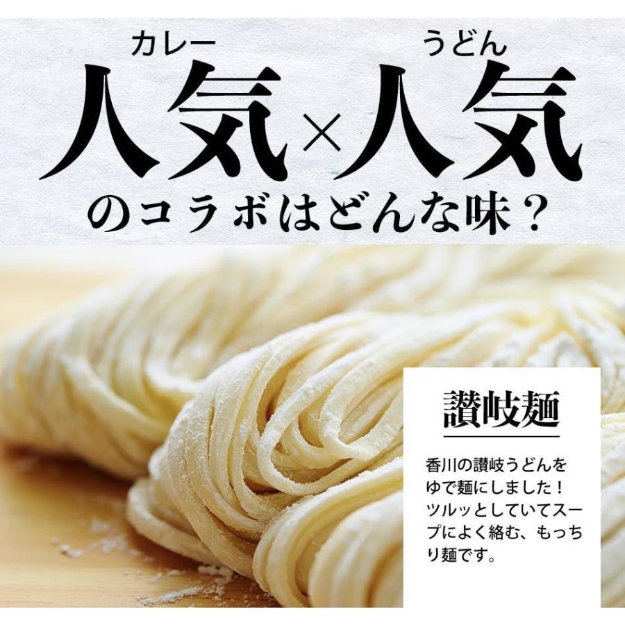 レンジで簡単 讃岐カレーうどん 4食 セット 生麺 お試し 讃岐 うどん カレー 電子レンジ 時短 産直 グルメ 食品 お取り寄せ 得トクセール ポイント消化 送料無料