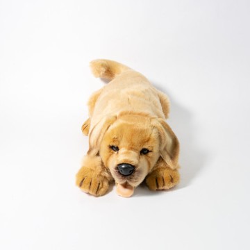 Hansa 8676-拉布拉多蹲姿 50公分