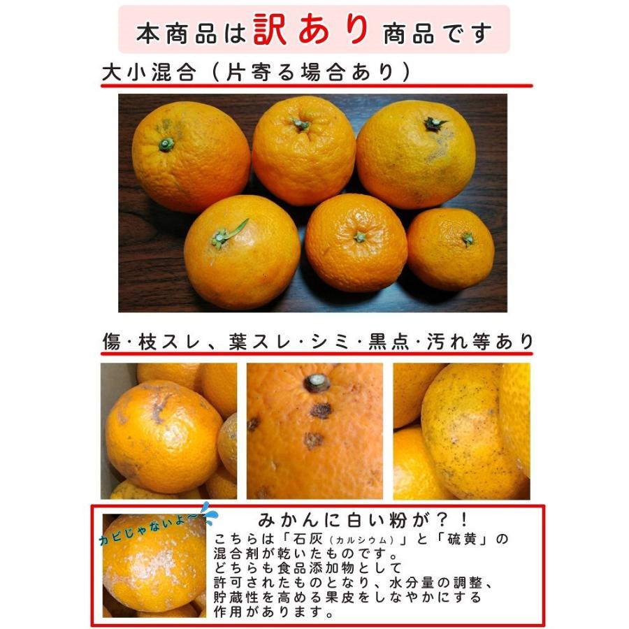 みかん 5kg（箱込約5kg） 和歌山県産 訳あり・ご家庭用 送料無料（東北・北海道・沖縄県除く）