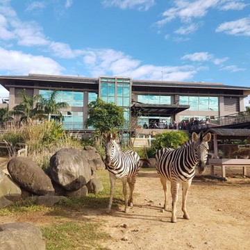 【關西六福莊~第3.4人免費】★超低價雙人含早+六福村二日門票+非洲探險遊戲島(限量升等-剛果草原客房)