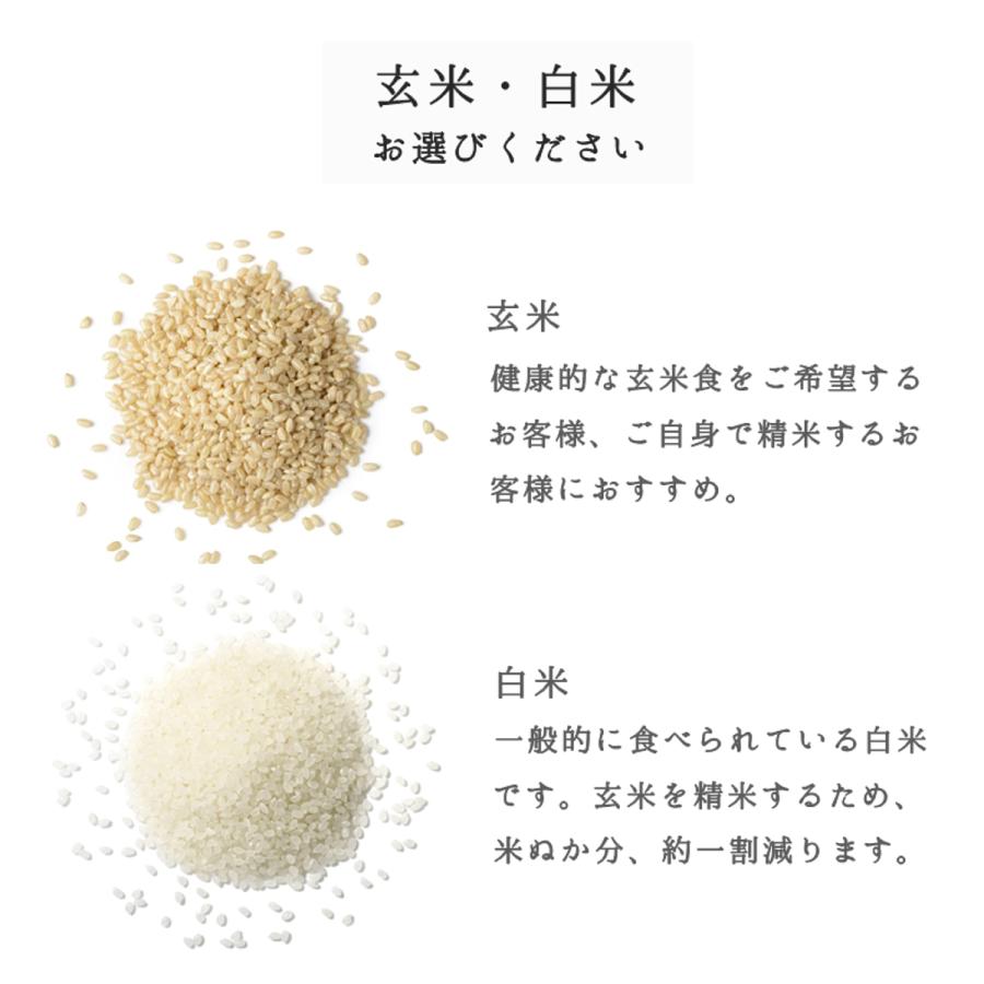 もち米 15kg 山形県産 ヒメノモチ 高級 新米 令和5年 白米 玄米 送料無料 5kg×3袋