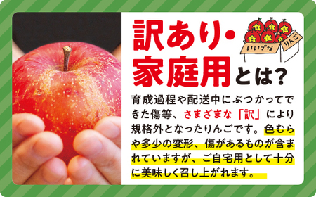 りんご サンふじ 家庭用 5kg 沖縄県への配送不可 2023年12月上旬頃から2024年2月下旬頃まで順次発送予定 ふるさと振興公社 長野県 飯綱町 [0288]