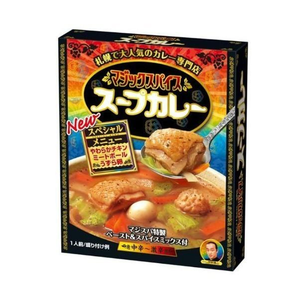 マジックスパイス スープカレー 2箱 送料無料 北海道 札幌 スパイス インドネシアカレー お土産 手土産 贈り物