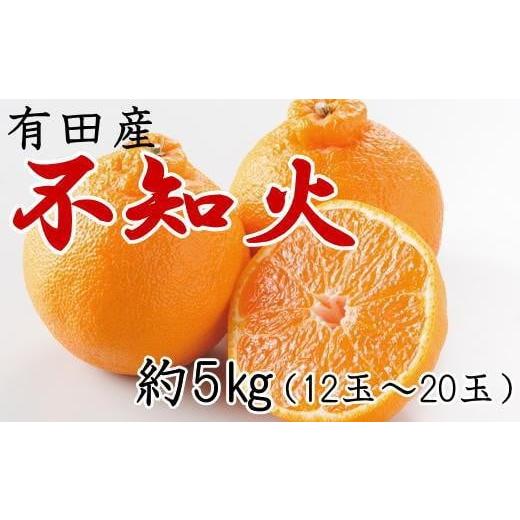 ふるさと納税 和歌山県 有田川町 有田の不知火約5kg（12〜20玉）★2024年２月上旬頃より順次発送