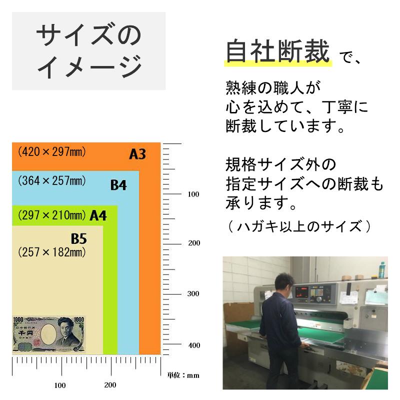 色上質紙 厚口 A4 5000枚入り カラーペーパー