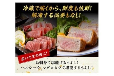 漁協直送！キハダマグロブロック（生）1kg