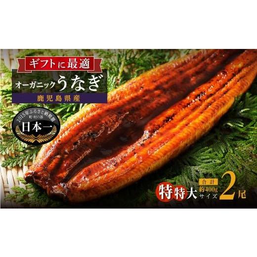 ふるさと納税 鹿児島県 大崎町 泰正オーガニックうなぎ蒲焼　特特大2尾合計400g以上