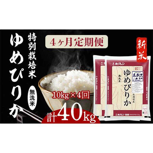 ふるさと納税 北海道 奈井江町 日経トレンディ「米のヒット甲子園」大賞受賞『特栽米ゆめぴりか無洗米5kg×2』定期便！毎月1回・計4回お届け