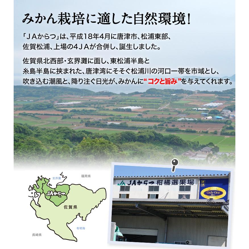 JAからつ 『うまか美人』 みかん 佐賀県産 超小粒(2S〜3S) 約5kg 目安として80〜120個程度 ※常温　送料無料