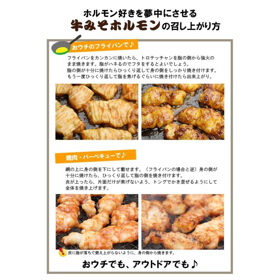 ホルモン 訳あり 肉 焼肉 バーベキュー お取り寄せ グルメ ギフト 食品 ポイント消化 人気 シマチョウ てっちゃん もつ 味噌 タレ 500g