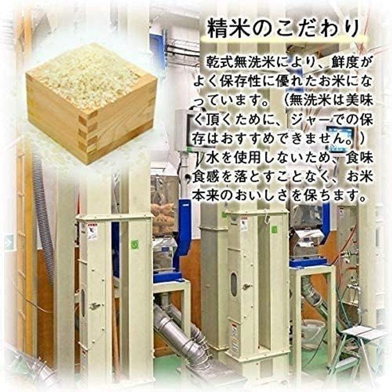 山形県産 雪若丸令和4年産 10kg (5kg×2) お米 コメ (精米)