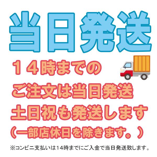 北本トマトカレー カレー レトルト 中辛 200ｇ レトルト食品 レトルトカレー トマト 北本 埼玉 ご当地カレー ご当地グルメ 食レポ