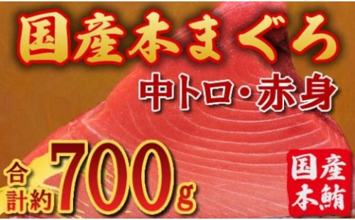 国産 本マグロ ブロック(中トロ・赤身) 約700g