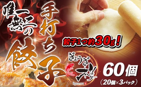 唯一無二の手打ち餃子60個（20個×3パック）餃子1つ約30g！