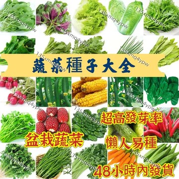 現貨💥【四季蔬菜種子 】四季可種 五十天可生長可多次採摘 家庭蔬菜種子雞毛菜 番茄 菜心上海青 空心菜 香菜 玉米 南瓜