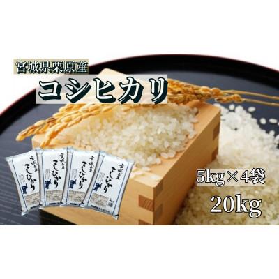 ふるさと納税 栗原市 宮城栗原産 コシヒカリ 白米20kg (5kg×4袋)