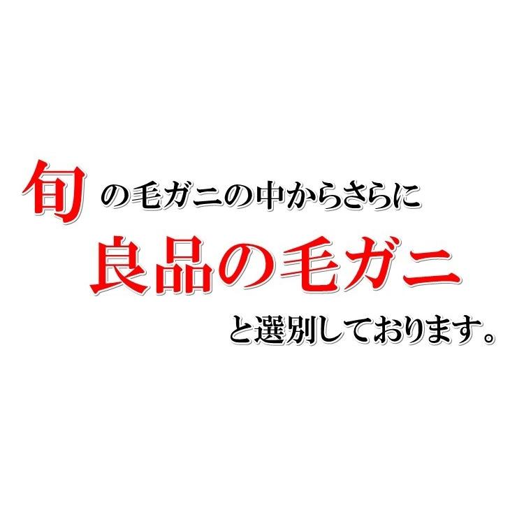 毛ガニ 毛がに 毛蟹 北海道産 浜茹で毛ガニ １杯約660g 特大サイズ 最上級品 堅ガニ ギフト お取り寄せ お歳暮 2023年物