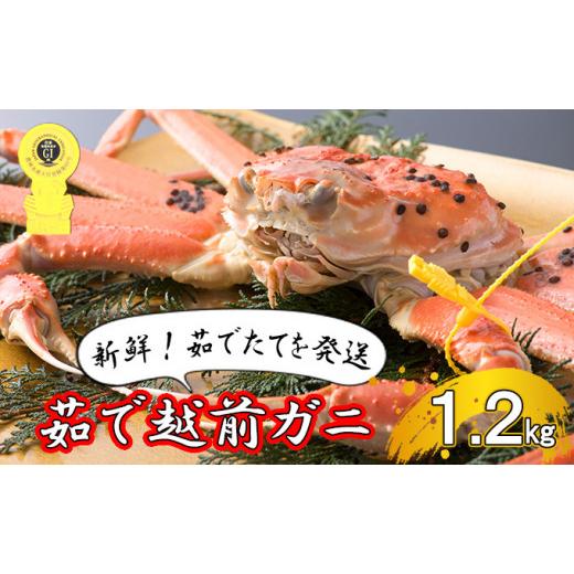 ふるさと納税 福井県 若狭町 茹で越前ガニ食通もうなる本場の味をぜひ、ご堪能ください。約1.2kg以上 越前がに 越前かに 越前カニ カニ ボイルガ…