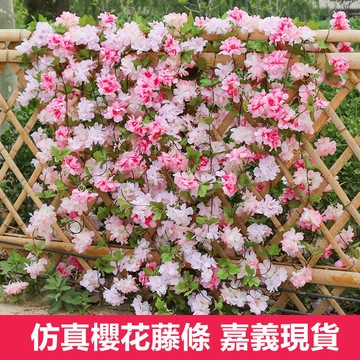 隔日到貨 現貨 仿真櫻花藤條 假櫻花藤蔓 假花藤 藤蔓花條樹 仿真塑膠假花藤條 假綠植  假花 仿真植物 裝飾花藤
