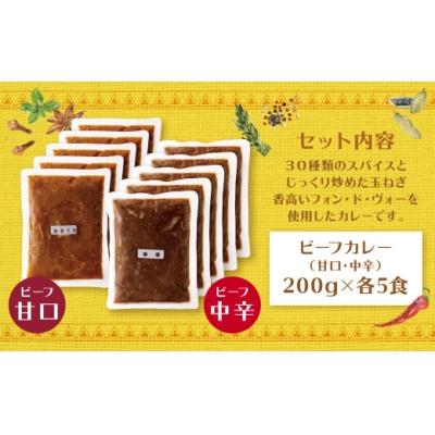 ふるさと納税 福智町 みろくのカレー10食(甘口5食・中辛5食)