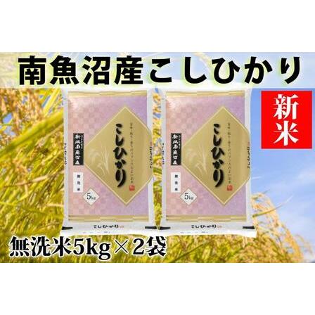 ふるさと納税 南魚沼産コシヒカリ「YUKI」(無洗米10kg)×全12回 新潟県南魚沼市