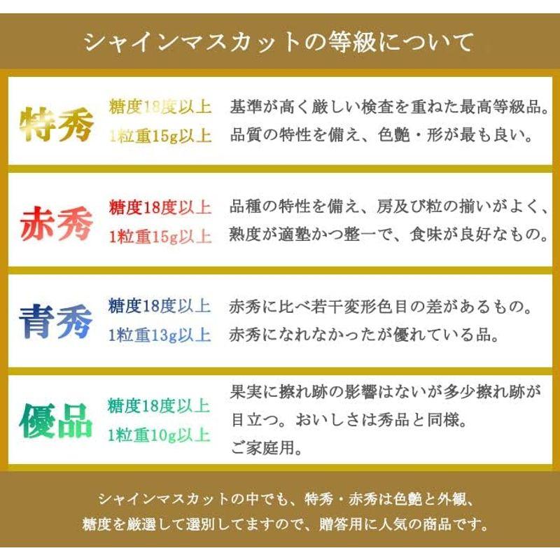 お歳暮 ぶどう シャインマスカット 晴王 赤秀 約600g×1房 岡山県産 葡萄 ブドウ