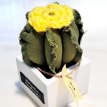 【拾月手作坊】布作仙人掌/送禮好物/開幕盆栽/綠植盆栽