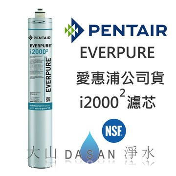 大山淨水 [贈7-11禮卷$300] i20002 台灣愛惠浦 公司貨 EVERPURE 台灣愛惠浦 i20002 濾心