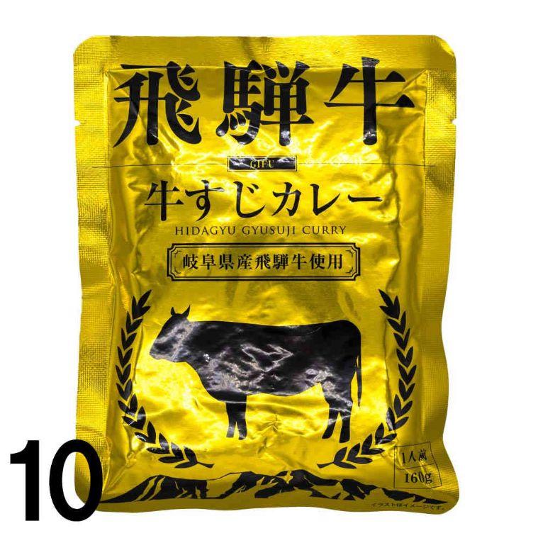 飛騨牛カレー レトルト 牛すじカレー 1人前 160ｇ ×10 ふるさと清見21