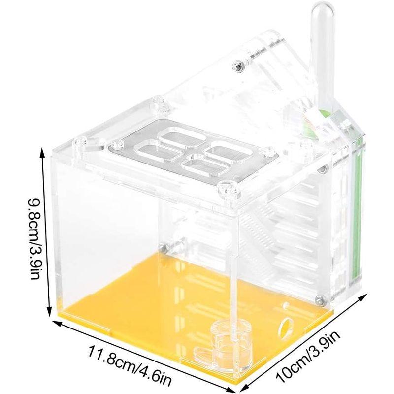 dootiアリ飼育箱 蟻用飼育ケース 通気性 保湿性 アリ繁殖 透明アクリル
