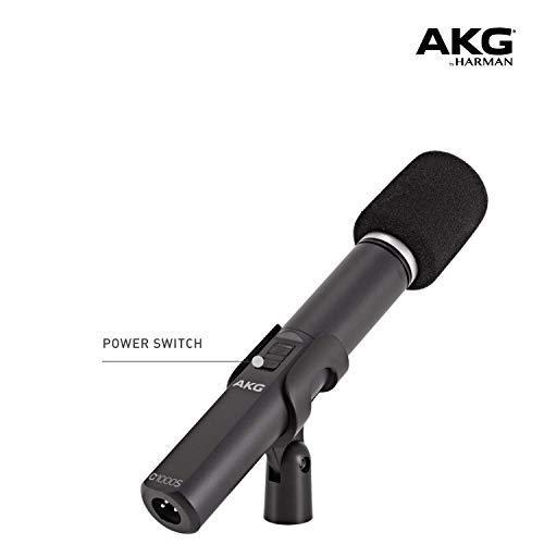 AKG Pro Audio C1000s Condenser Microphone, Multipattern by AKG Pro Audio 並行輸入品