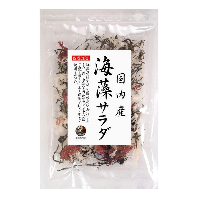 海藻本舗 国産海藻サラダ 40ｇ（20g×2袋）